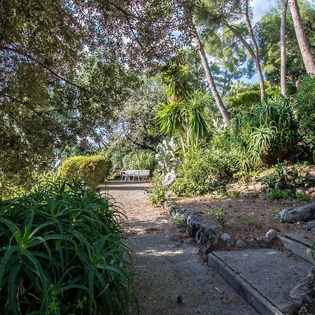 La Dragonniere Roquebrune-Cap-Martin